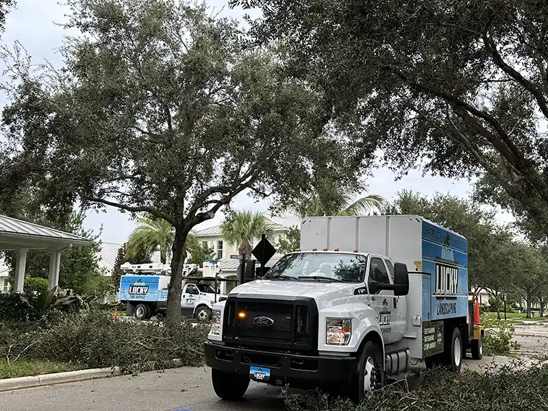 Hurricane Milton Palm Beach